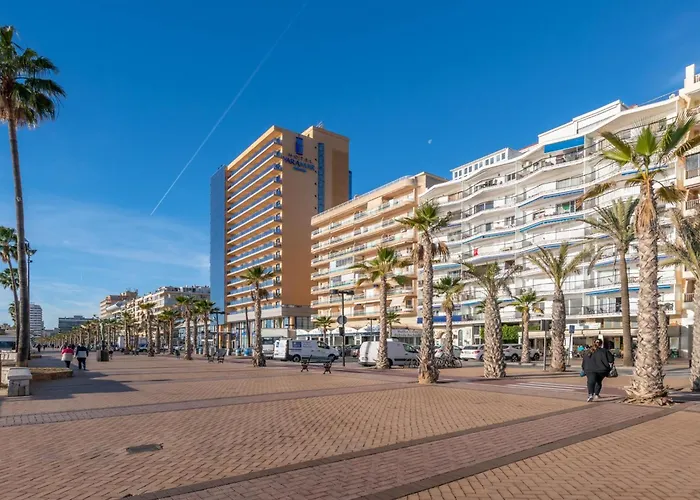 1ª Linea De Playa, Estudio Nuevo Pareja